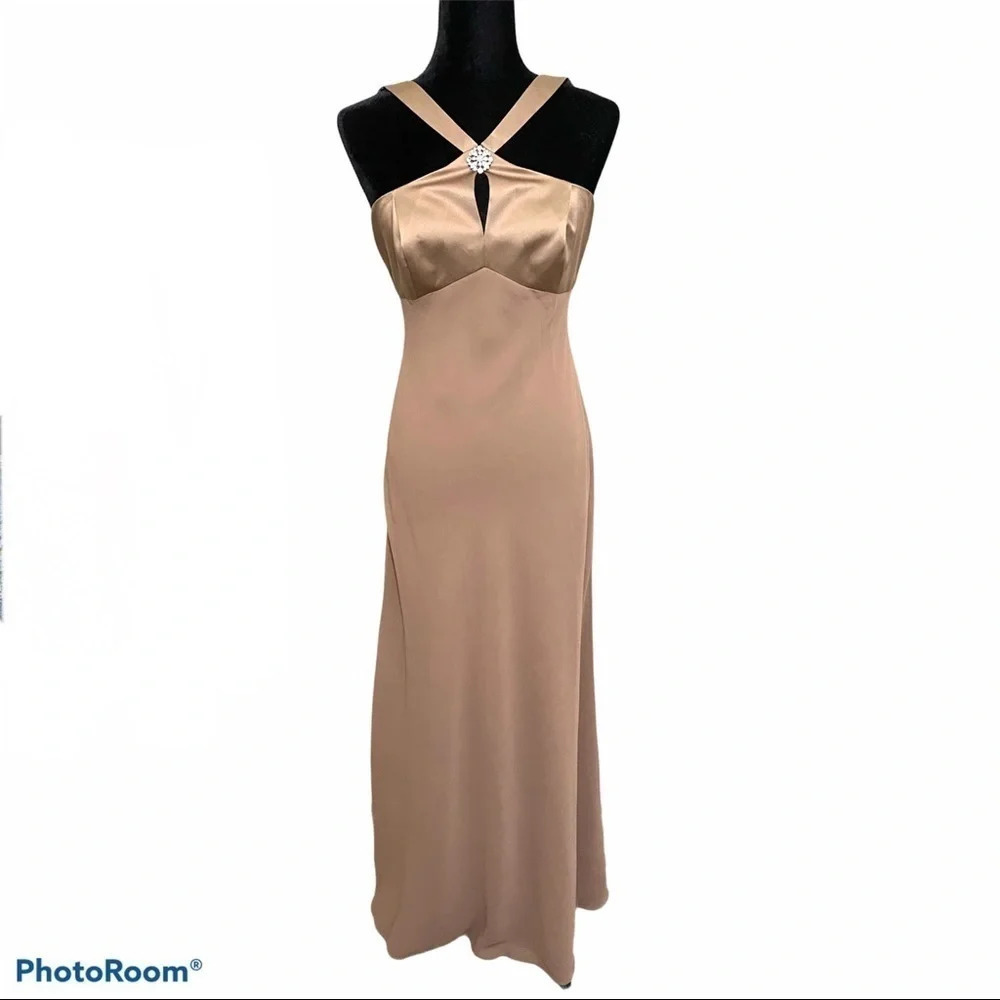 NWT David’s Bridals Tan/ Latte Gown Braids-maid